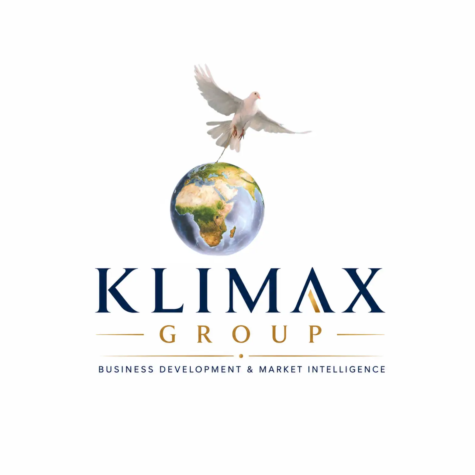 KLIMAX GROUP Sales Engineering & Market Intelligence